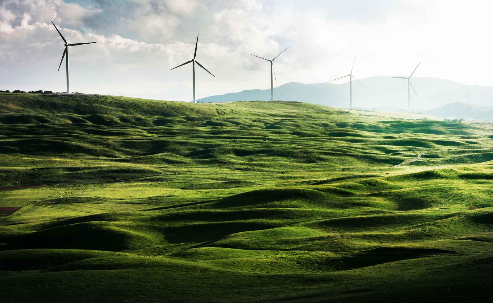 UKSV Putting Eco-Consciousness on Your Event Agenda UKSV Putting Eco-Consciousness on Your Event Agenda